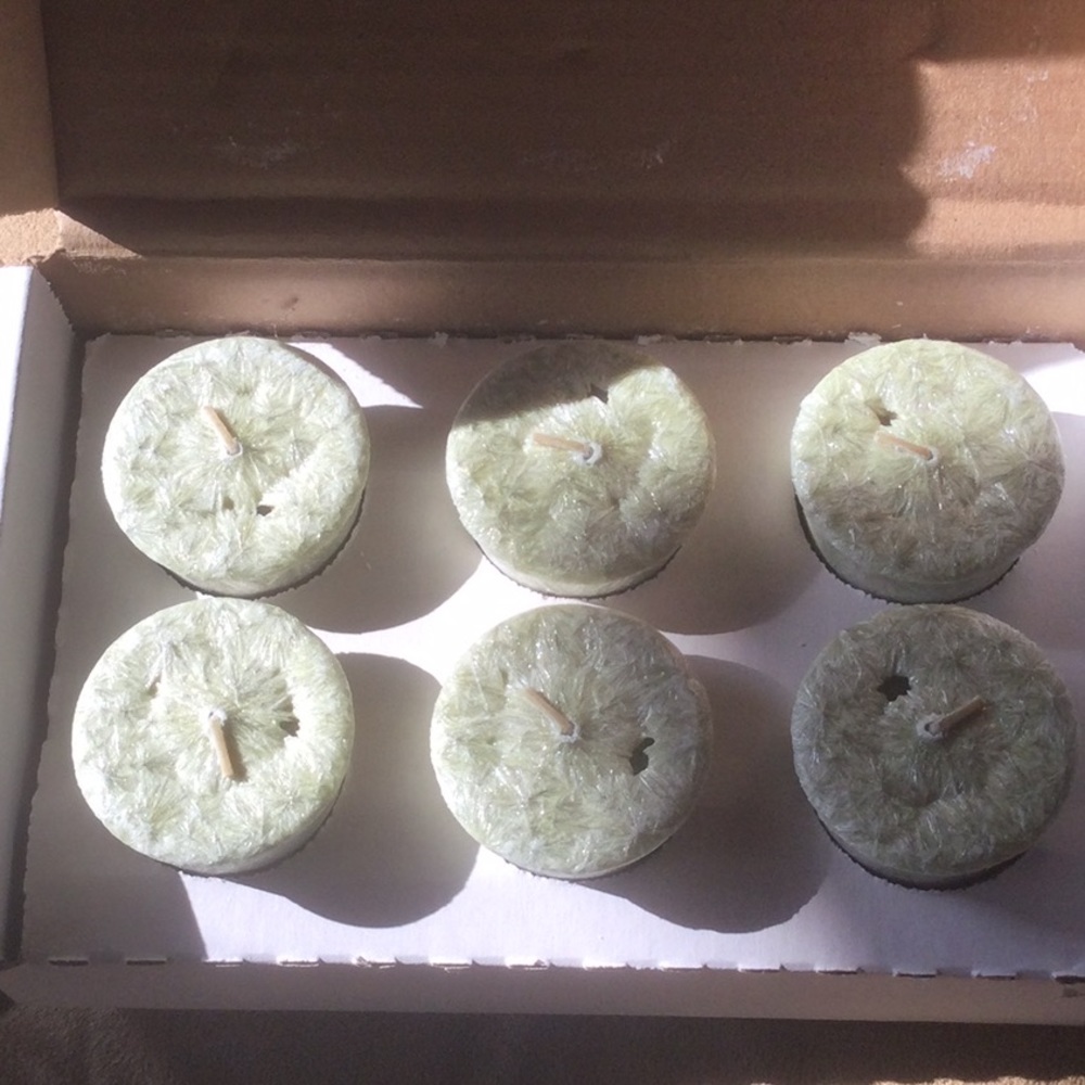 Set of 6 Mia Bella votives